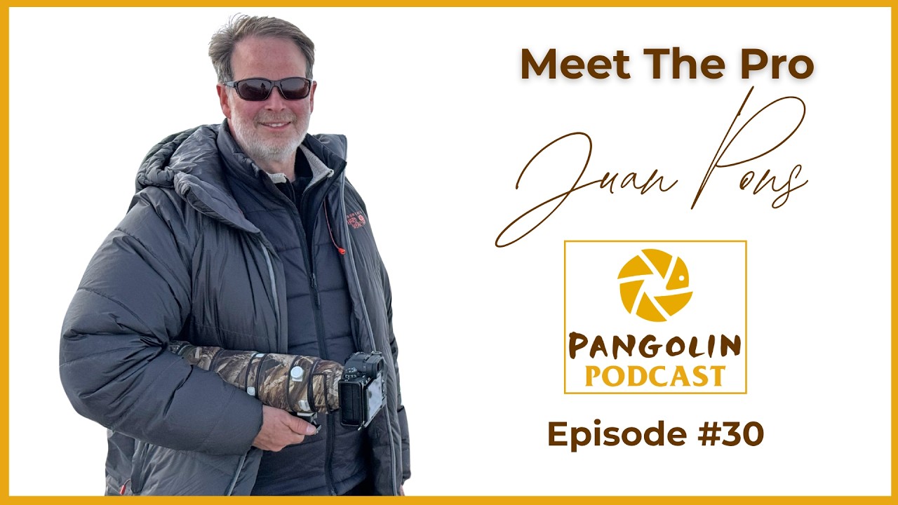 Juan Pons on Wild Dogs, Antarctica Penguins, Yellowstone Foxes & Snow Leopards
