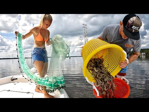 Throwing Big Cast Nets for Wild Shrimp! Catch & Cook