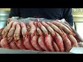 アルゼンチン赤海老の説明