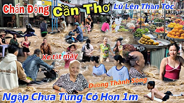 Cần Thơ Báo Động Lũ Lên Quá Nhanh Khắp Nơi Chìm Trong Biển Nước - Ngôi Nhà Bà Cụ Chỉ Còn Cái Nóc