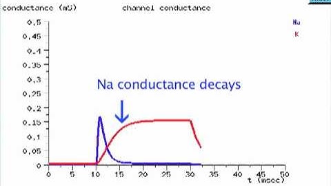 Voltage Clamp Part 1c