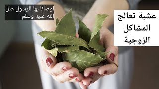 عشبة تخلصكي من جميع المشاكل مع الزوج او الخطيب