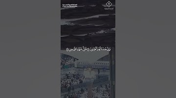 مقتطف من تلاوة فضيلة الشيخ #خالد_المهنا من صلاة الفجر الثلاثاء ١ ربيع الآخر ١٤٤٧هـ