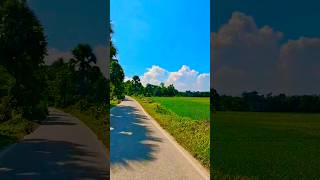 A beautiful road in the village🇧🇩 #village #villagelife #nature #youtube #youtubeshorts #viral #fyp