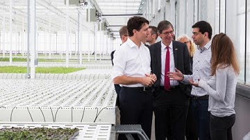 EM203: Spread the News Assignment