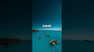 The Mesmerizing Mechanism of Bioluminescent Algae