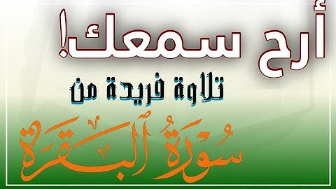 سورة البقرة تلاوة مباركة من صلاة التراويح الليلة الخامسة من رمضان 1446ه‍| عبدالمجيد الشاوش