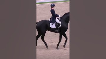 Probably the best song to do dressage too