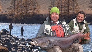 Pecanje Tajmena U Mongoliji Na Reci Šiškid Iii Deo Fishing Big Taimen In Mongolia Hucho Taimen