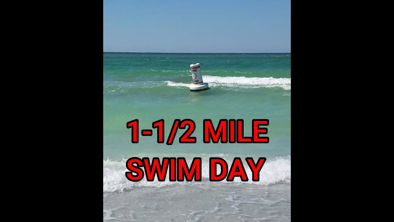 1.5 MILE SWIM ON SWIM DAY YouTube