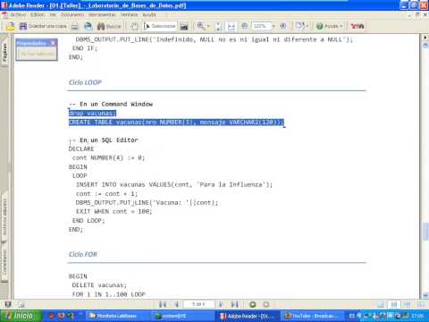 PlSqlDev_07 - Ciclo LOOP en PlSql Developer.wmv