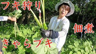 【料理シリーズ第２弾】庭に大量に生えていたフキを使って、佃煮（きゃらぶき）を作ってみました！