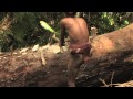 BUILDING A DUGOUT CANOE, MENTAWAI JUNGLE