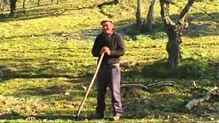 Portugal esquecido Entre Mirandela e Viseu