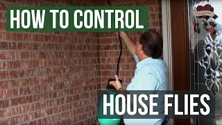 How to Control and Eliminate House Flies