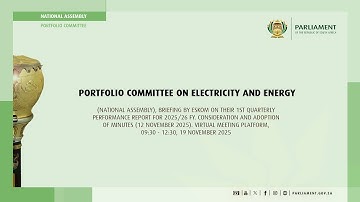 Portfolio Committee on Electricity and Energy, 19 November 2025