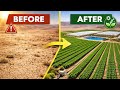 The Shocking Engineering Behind Israel’s Impossible Desert Farms.