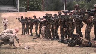 New Zealand Army Maneuver, Engage Targets During Dawn Blitz 2013