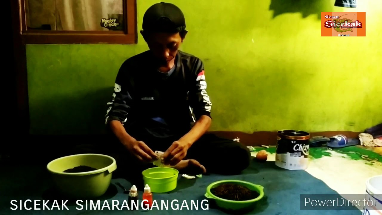 cara bikin umpan buat galatama lele dites langsung