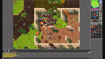 Tibia Bot Killing / Trapowanie botów #8