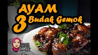 Diari 3 Ayam Tiga Budak Gemok