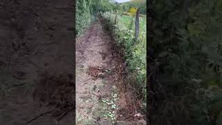 Why Use Chemical Weed Killers? This Is Way More Fun, Faster Results, Weeds Really Be Gone.