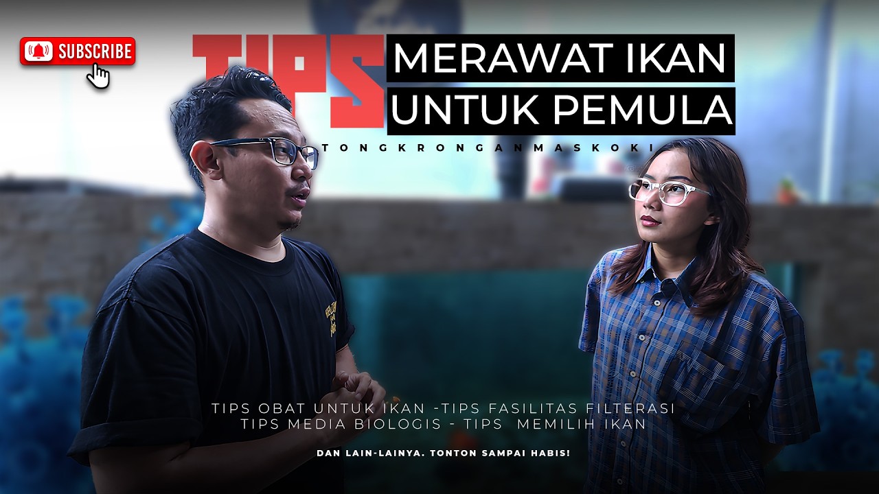 PEMULA WAJIB TAU! TIPS MERAWAT IKAN UTUK KALIAN YANG BARU MULAI!