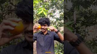 perfect✨🔥Orange കൊണ്ടൊരു juice😋#haiztech #m4tech #malayalam #trending #viral #shorts #food