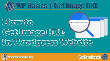 How to Get URL of Image Uploaded in Website | WordPress Basics