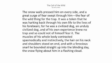 The Call of the Wild Chapter 2