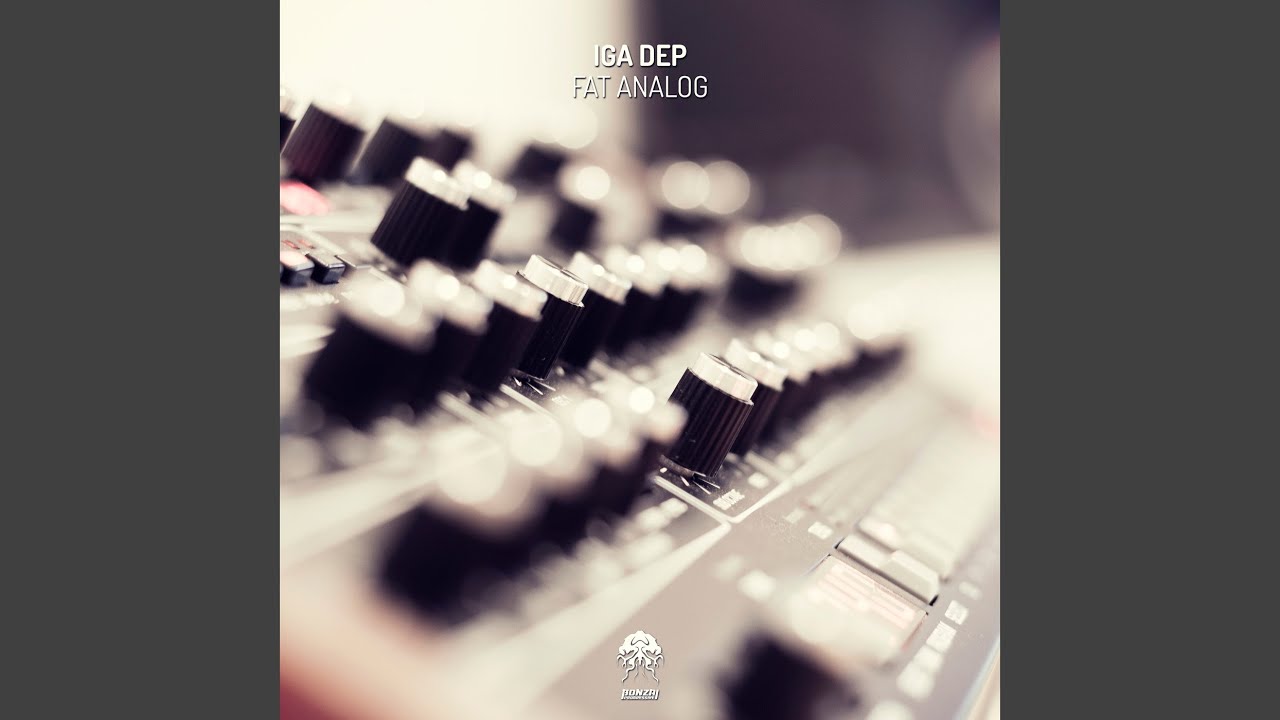 Fat Analog (Stan Kolev Remix)