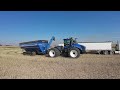 Canola Harvest 2025