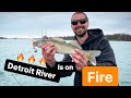 Detroit river walleye jigging  one hour limit tips and tricks