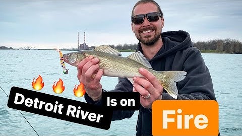 Detroit River Walleye JIGGING!! ( ONE HOUR LIMIT) Tips and tricks!