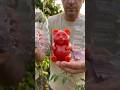 Tomato ya Gummy Bear? 😱 Garden ka naya chamatkar! #TomatoArt #GardenHacks #CreativeGardening #Teddy