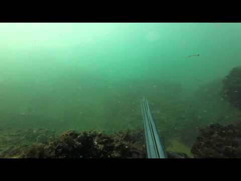 Видео: Внимавайте: смразяващият подводен звук, който все още не е идентифициран