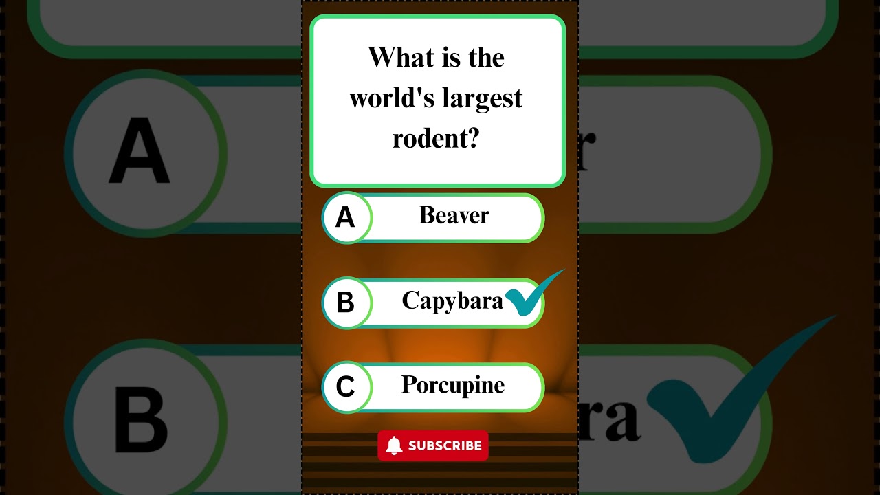 🌌 Guess These 3 Fascinating Facts | Quiz & IQ 