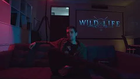 Office Tour with Wild Life creators [subtitles EN/ES/PT/DE]