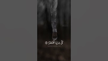 تلاوة من سورة القمر | القارئ ريان المحيسني .