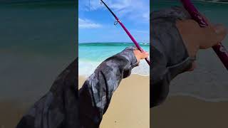 Euforia tomou conta quanto vi o cardume se alimentando #pescariabrasil #fishing #barcopesqueiro