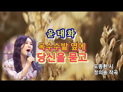 윤태화-옥수수 밭 옆에 당신을 묻고[정의송]