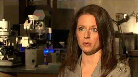 Forensic Scientist - Career Videos