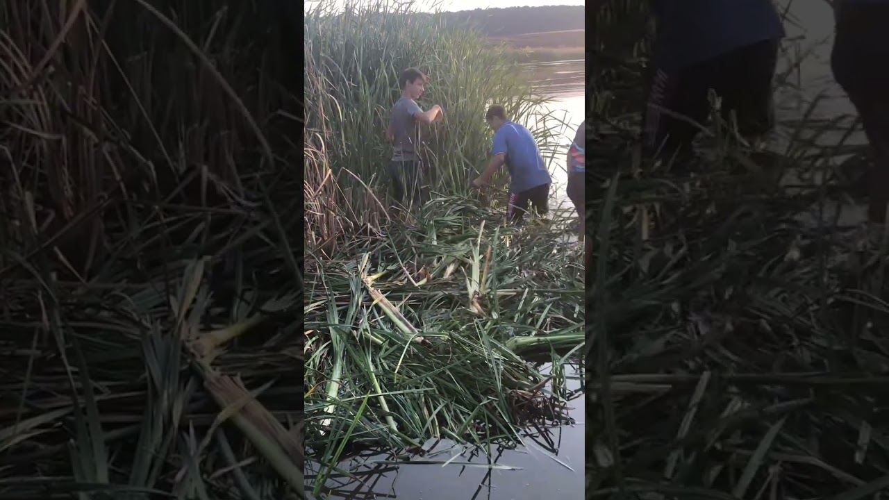 Dig perisor Dolj 🐟🐟🎣