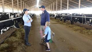 Phileo App Heat Stress in dairy cow screenshot 3