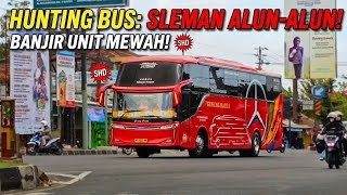 JALUR RAMAI! Berburu Bus AKAP dan Pariwisata di Alun-Alun Sleman, Klakson Bajuri Saling Bersahutan!