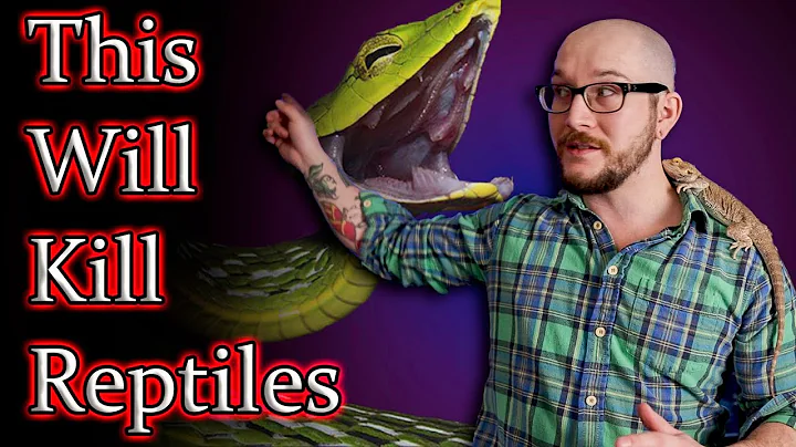 Top 5 Reptile Mistakes | NEVER Do These Five Things!