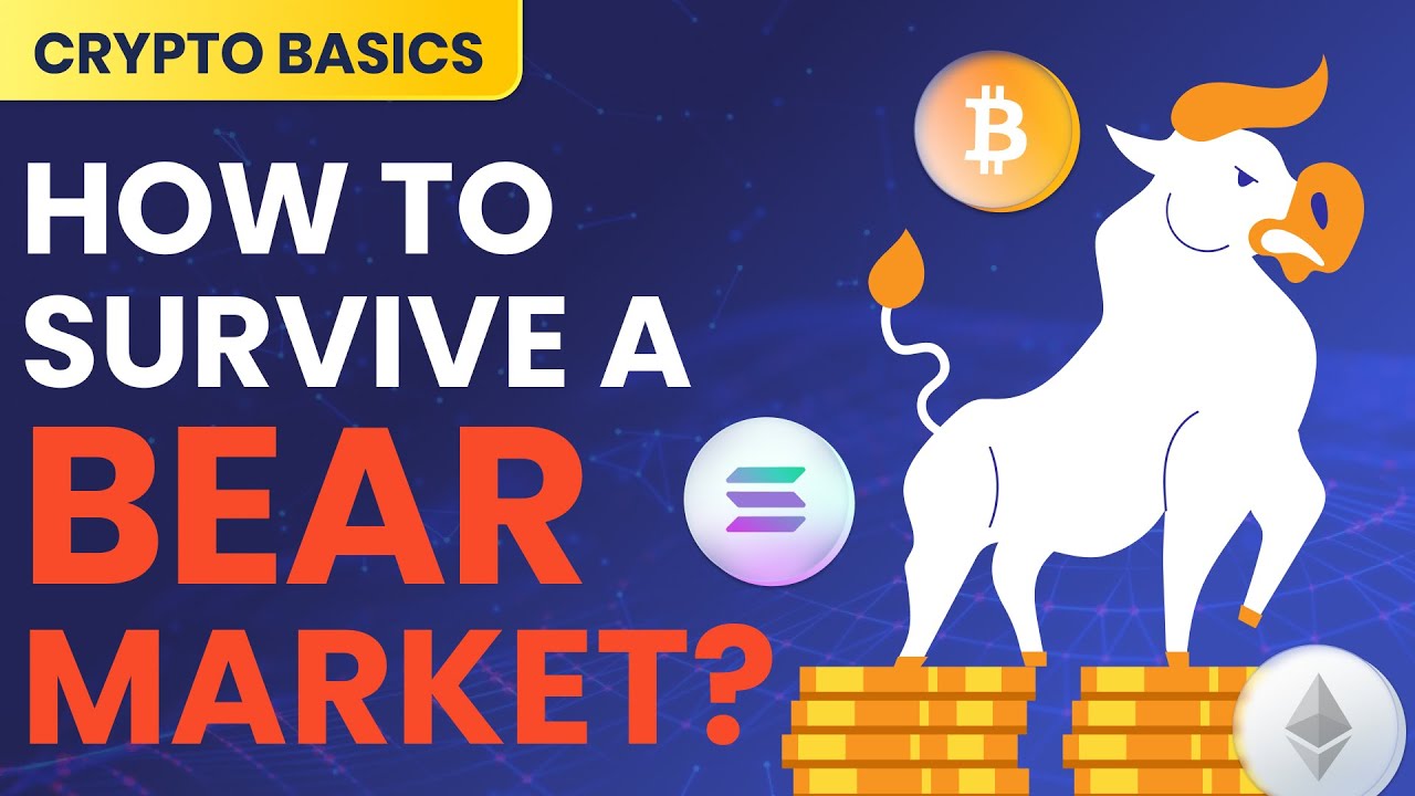 Crypto Bear Market Survival Guide: 5 Smart Strategies YOU NEED TO KNOW!