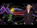 Jennifer doudna uc berkeley  hhmi genome engineering with crisprcas9