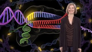 Jennifer Doudna (UC Berkeley / HHMI): Genome Engineering with CRISPR-Cas9