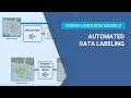 Automated Data Labeling Using Vision-Language Models